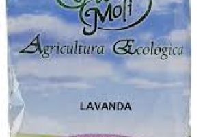 LAVANDA HERBES DEL MOLI